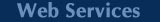 Web Design, Web Hosting, SEO